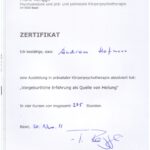 Zertifikat-Körperpsychotherapie 001